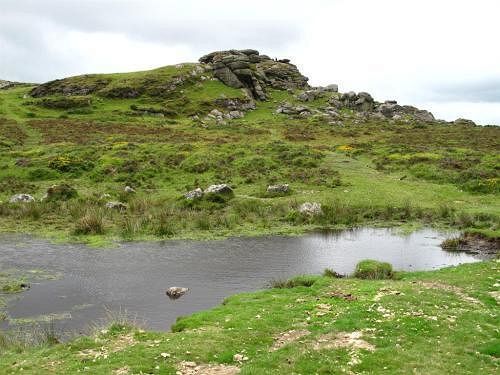 Lowertown Farm B&B Widecombe in the Moor Eksteriør billede